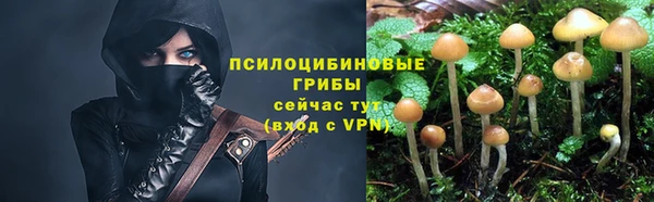 ALPHA-PVP Армянск