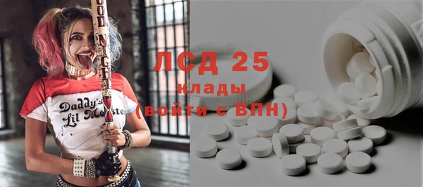 индика Арсеньев