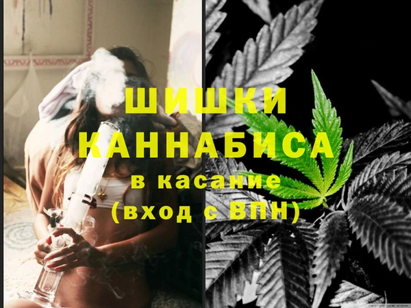 индика Арсеньев
