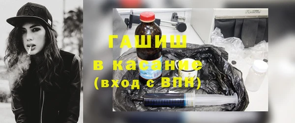 индика Арсеньев