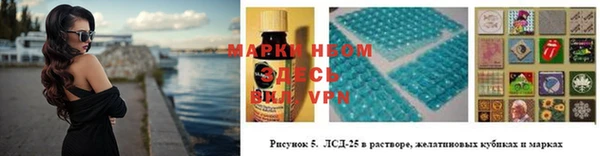 индика Арсеньев