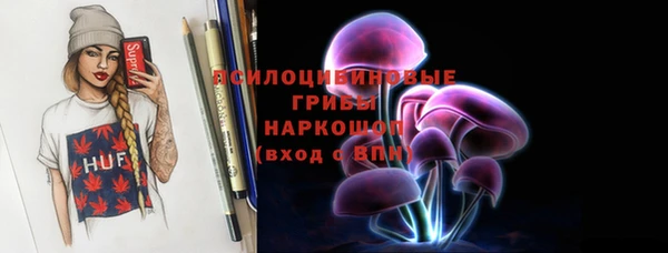 индика Арсеньев