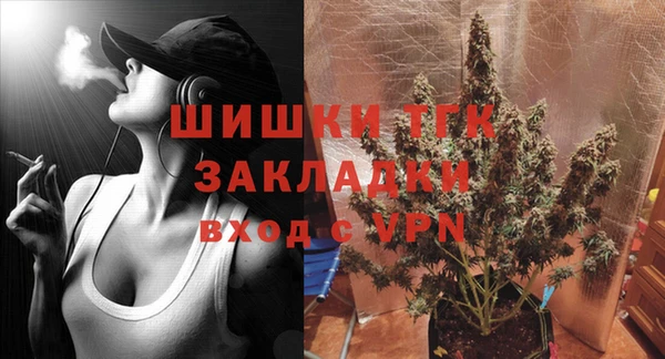 индика Арсеньев