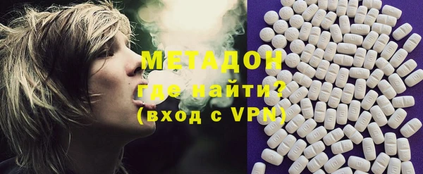 индика Арсеньев