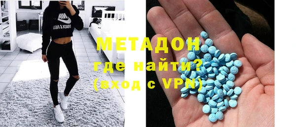 индика Арсеньев