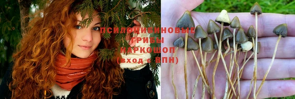 ALPHA-PVP Армянск