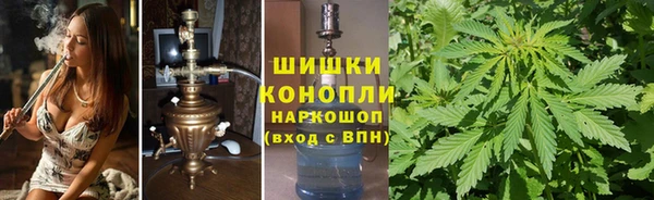 индика Арсеньев